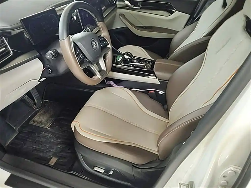 BYD Qin PLUS 2023 Champion Edition EV 610KM Excellence фото 15