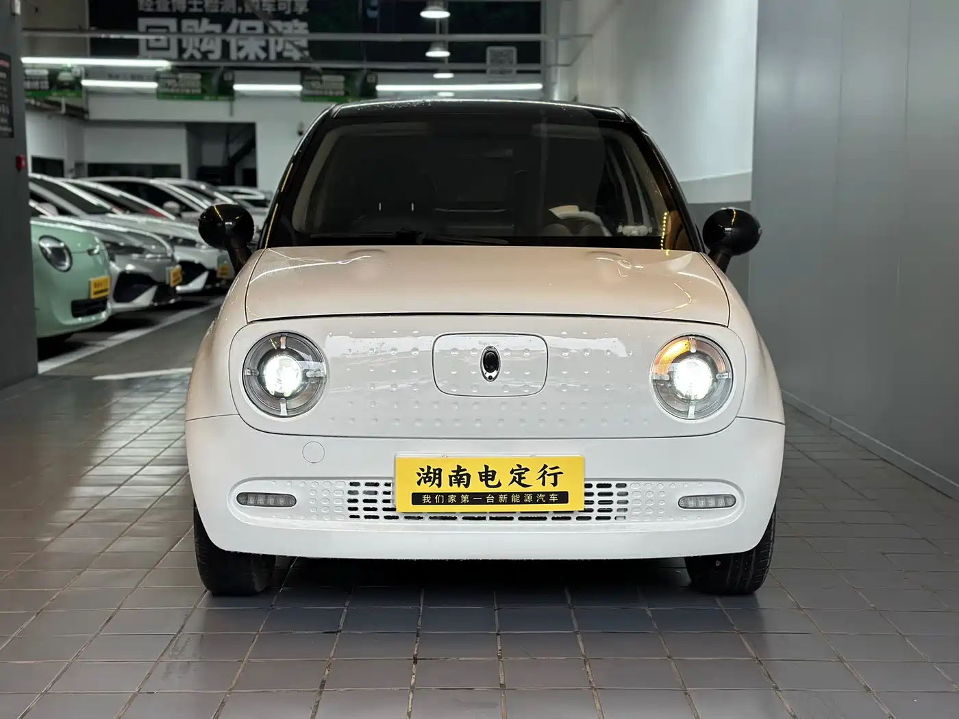 Ora Black Cat 2021 301km Basic Model