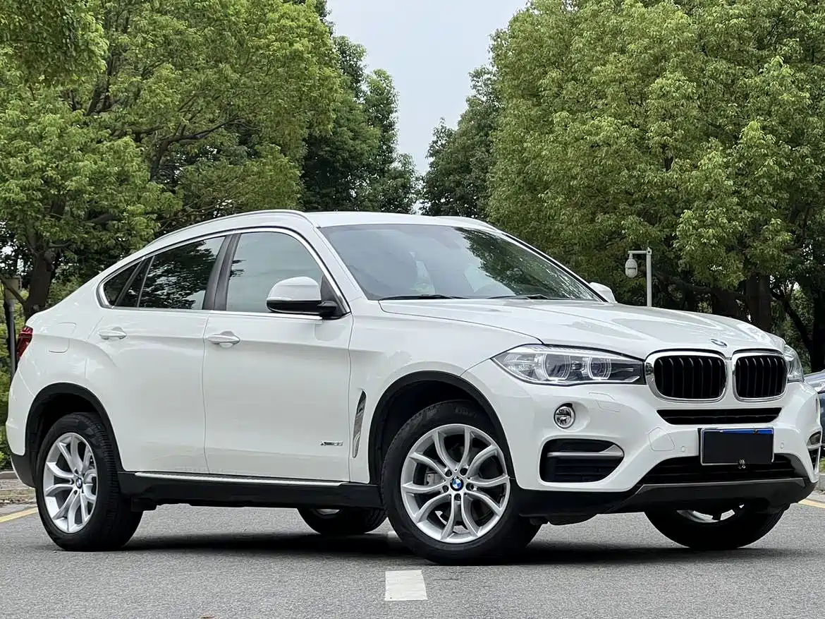 BMW X6 2015 xDrive35i Leading Type фото 2