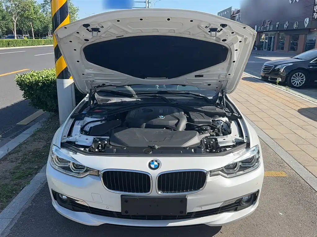 BMW 3 Series 2017 320Li Fashion фото 14