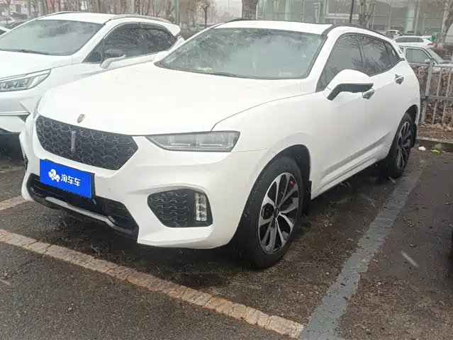 WEI PAI WEI BRAND VV7