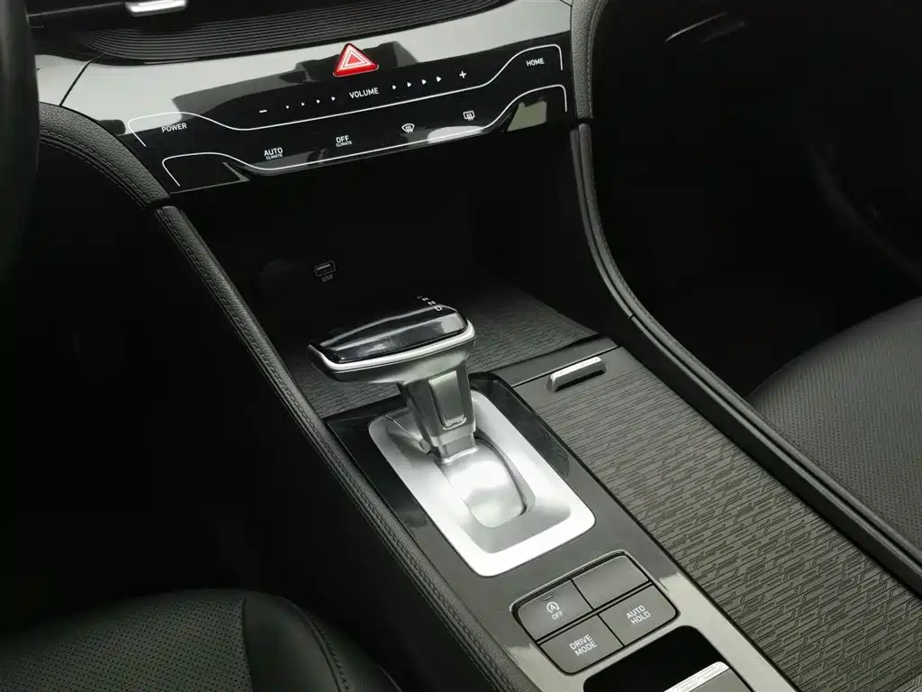 HYUNDAI NAME PICTURE