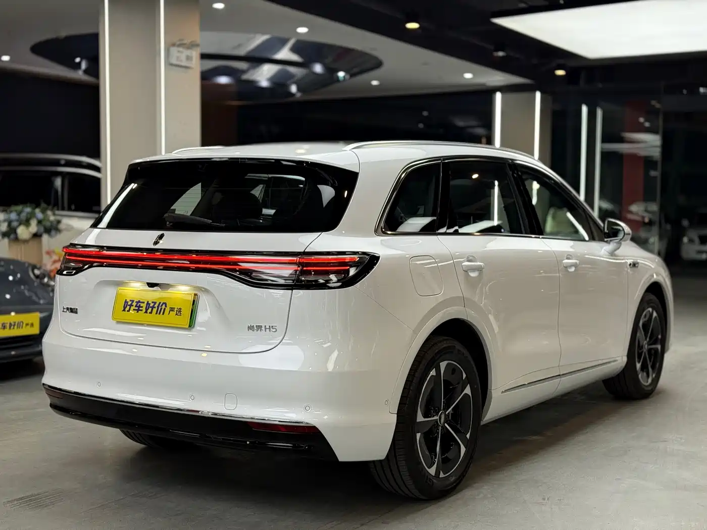 Shangjie SUV 2025 Extended Range Edition фото 13