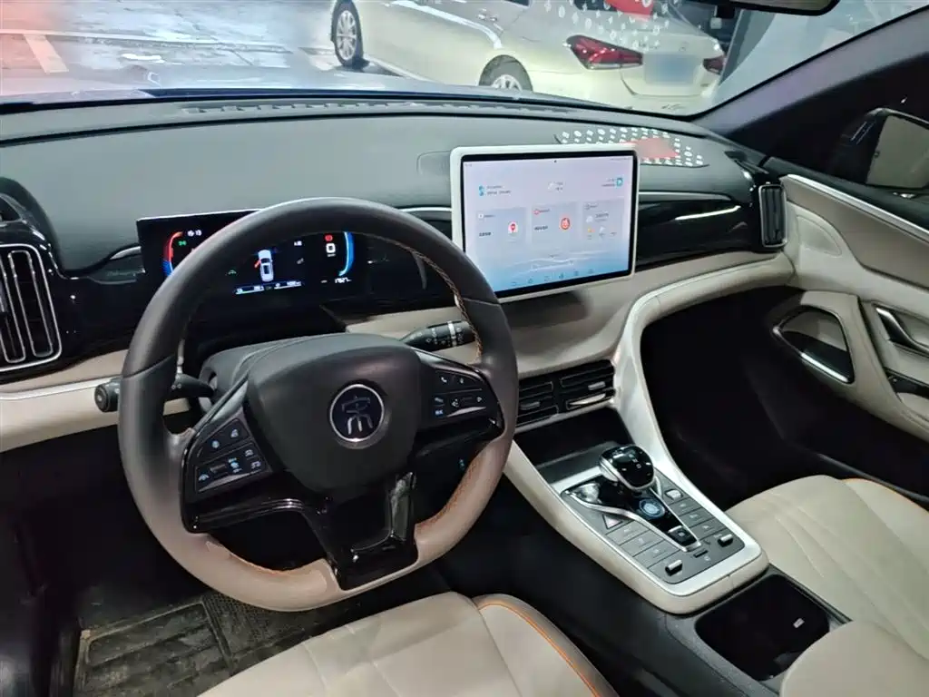 BYD Song Pro New Energy 2023 Champion Edition DM-i 71KM Surpassing Type фото 10