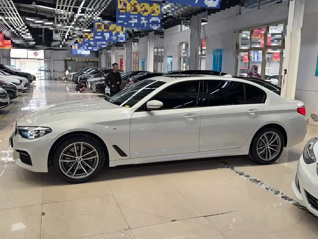 BMW 5 Series 2019 525Li M Sport Package фото 8