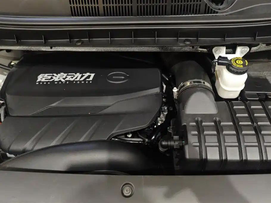 GAC Trumpchi Trumpchi M8 2021 Leading Show Series 390T Ultimate Edition фото 10