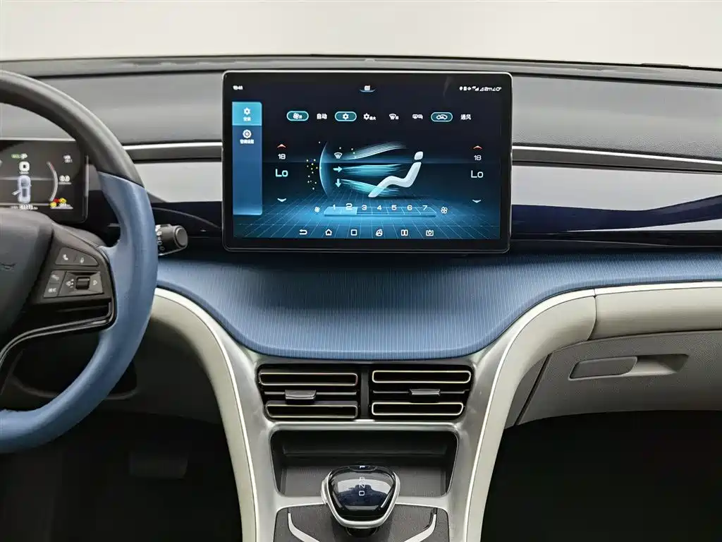 BYD Song Pro 2021 1.5T Automatic Xiaoyun Luxury фото 12
