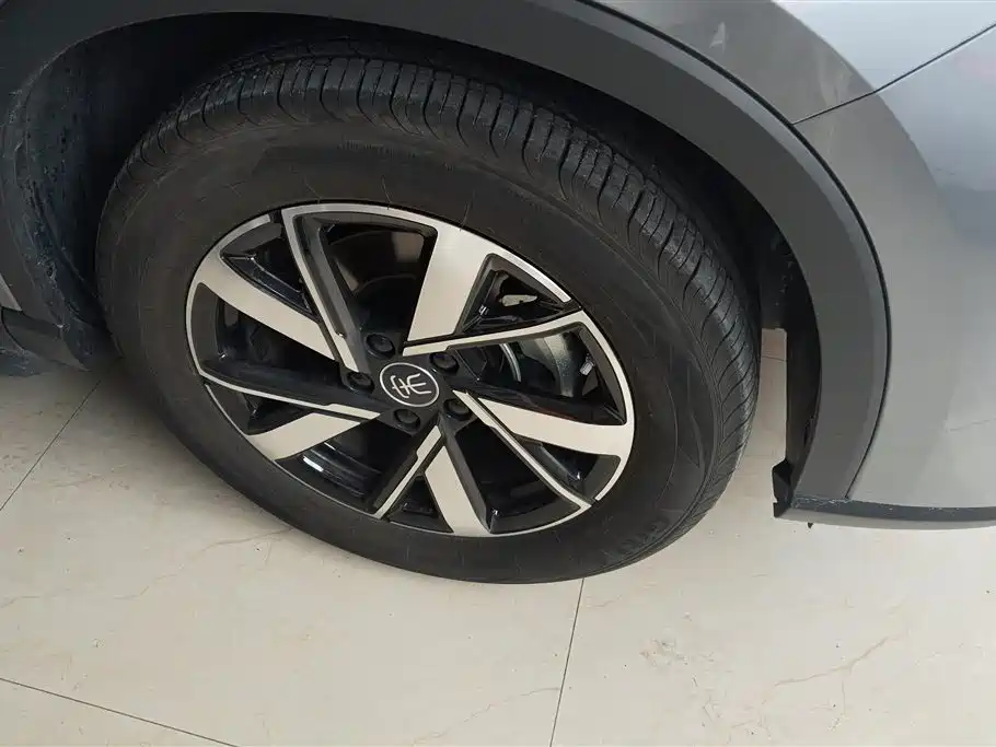 BYD Song Pro New Energy 2024 Glory Edition DM-i 71KM Pilot фото 6