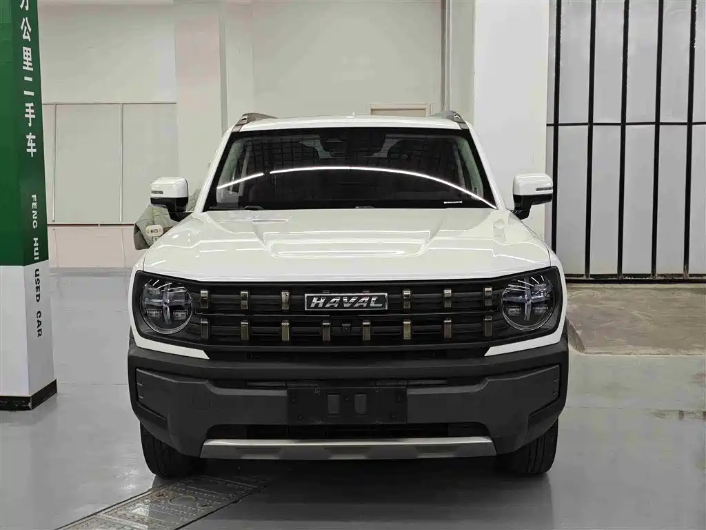 Haval Cool Dog 2022 1.5T DCT 2WD Trend Edition фото 2