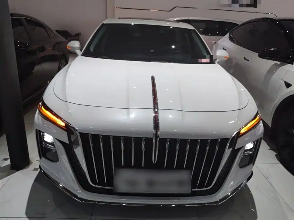 Hongqi H5 2023 2.0T Auto Smart Connect Flag Enjoy фото 3