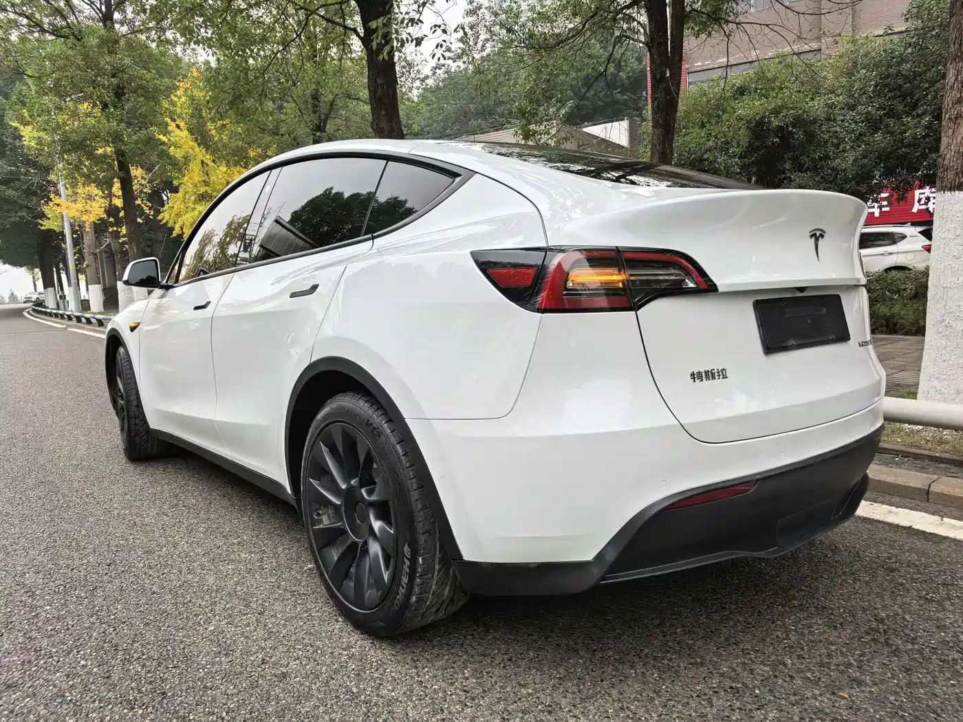 TESLA MODEL Y
