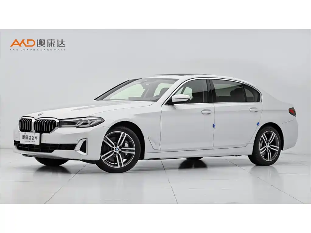 BMW 5 Series 2021 530Li Leading Luxury Package