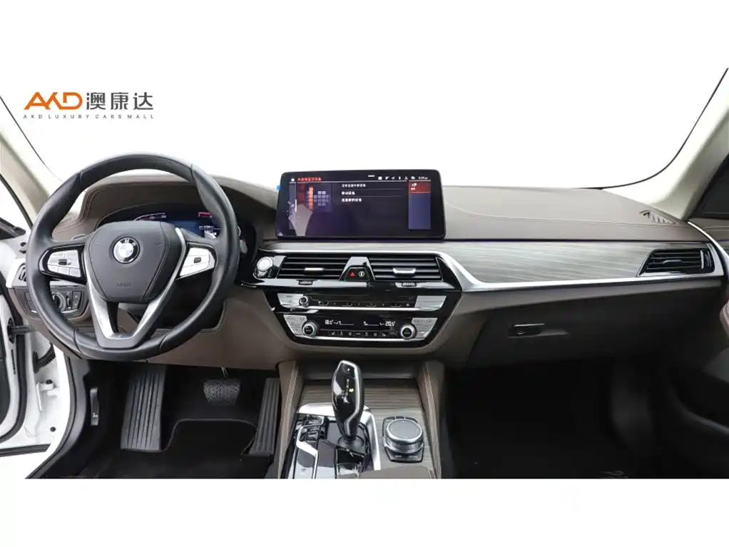 BMW 5 Series 2021 530Li Leading Luxury Package фото 5