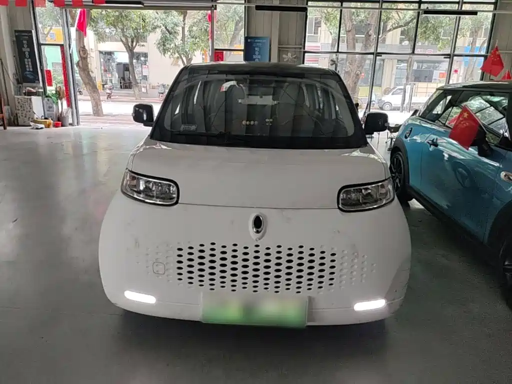 Ora White Cat 2021 2020 360km Luxury Model
