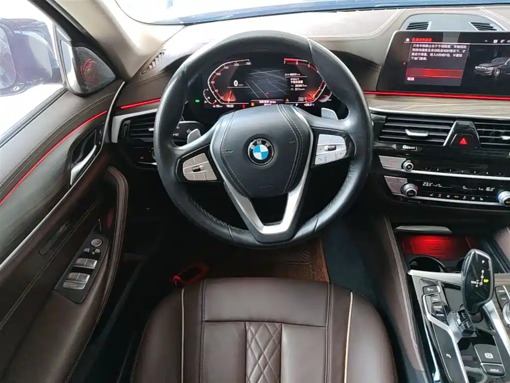 BMW 5 Series 2020 530Li Leading Luxury Package фото 11