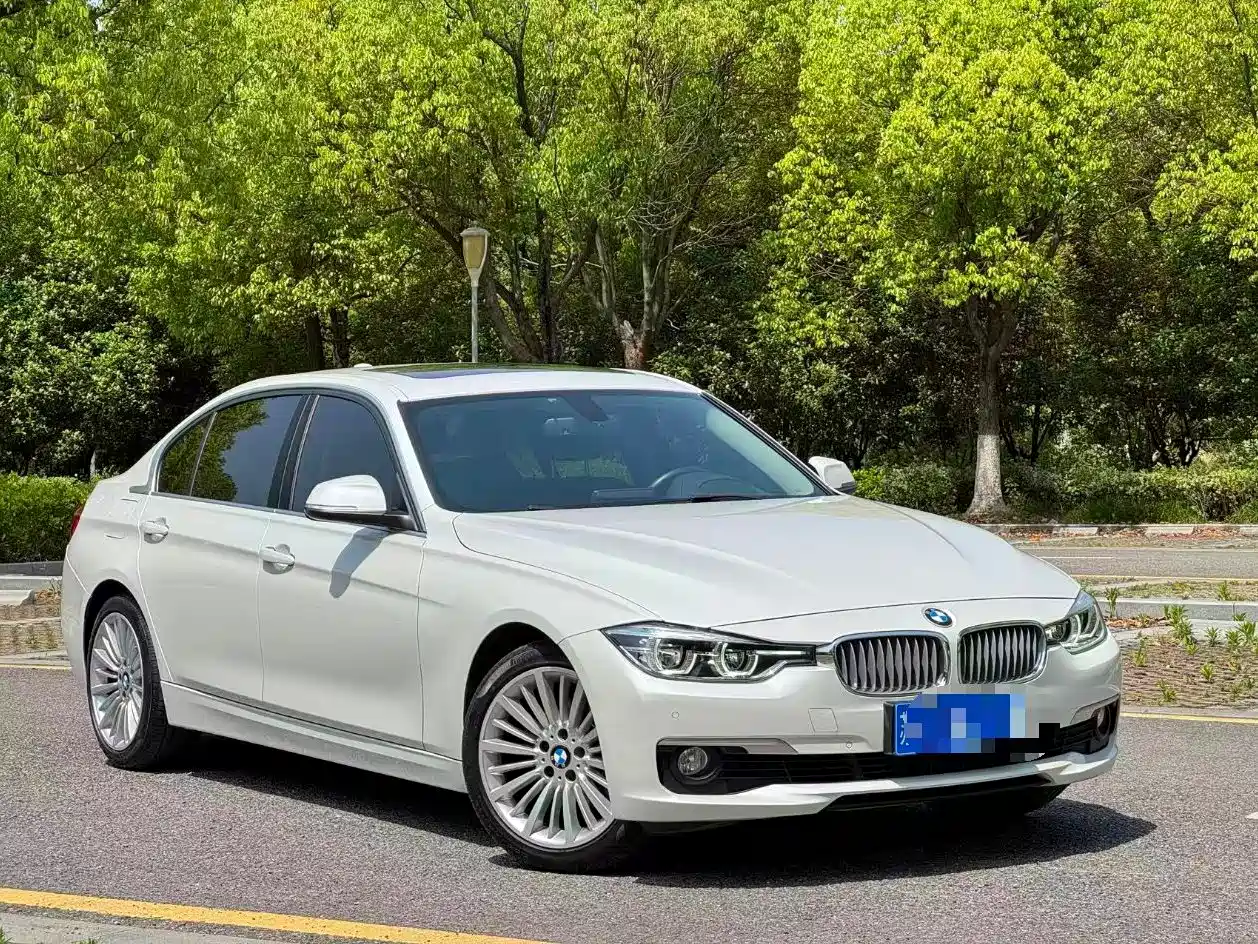 BMW 3 Series 2018 320Li Fashion Style фото 2
