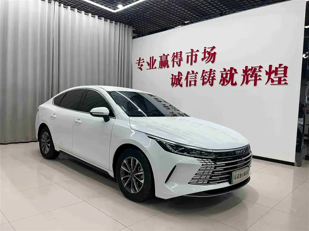 BYD Destroyer 05 2024 Glory Edition DM-i 55KM Luxury фото 3