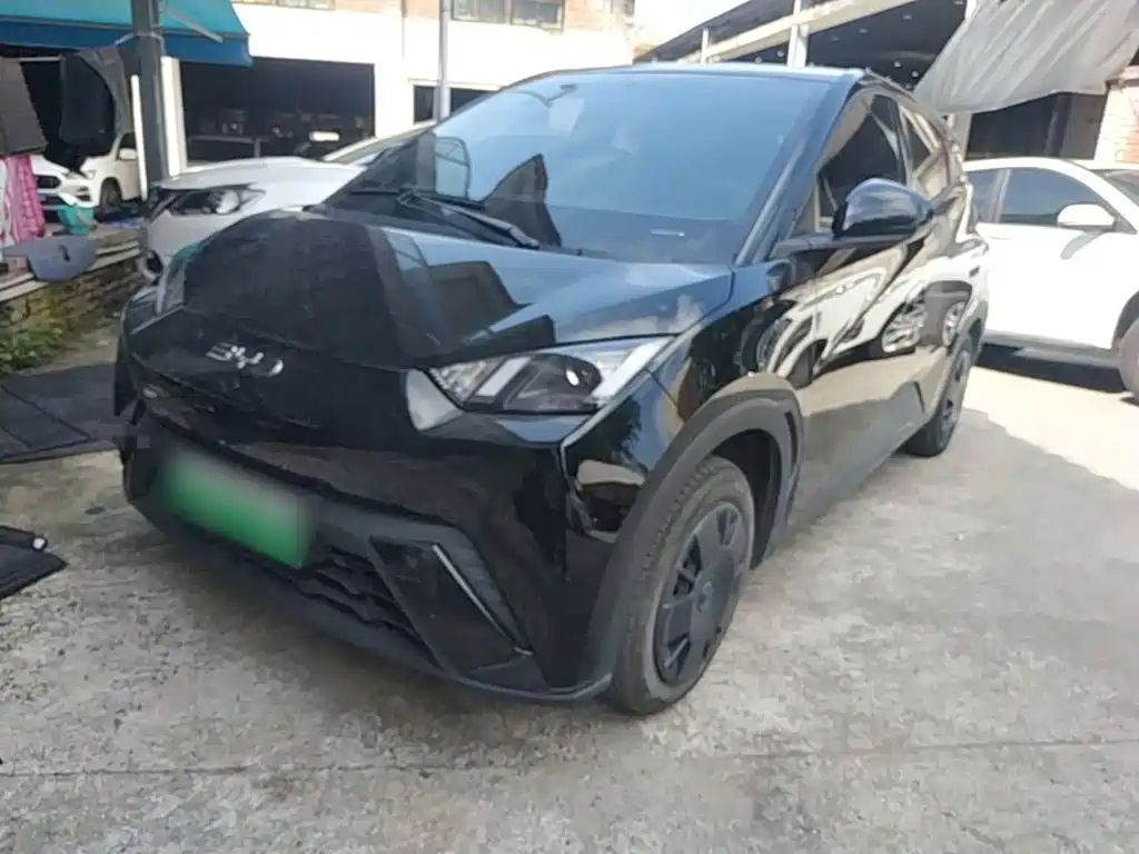 BYD Seagull 2025 305km Vitality