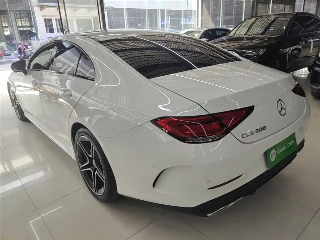 Mercedes-Benz CLS 2020 CLS 300 Dynamic фото 5