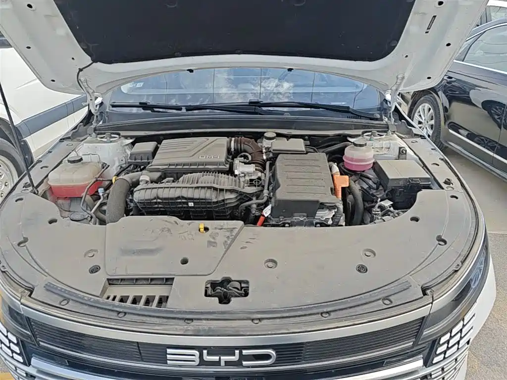 BYD Destroyer 05 2024 Glory Edition DM-i 55KM Luxury фото 16