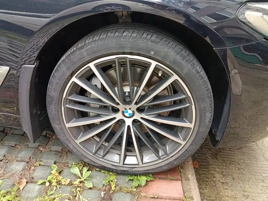 BMW 5 Series 2022 Model Second Facelift 530Li Leading M Sport Package фото 6