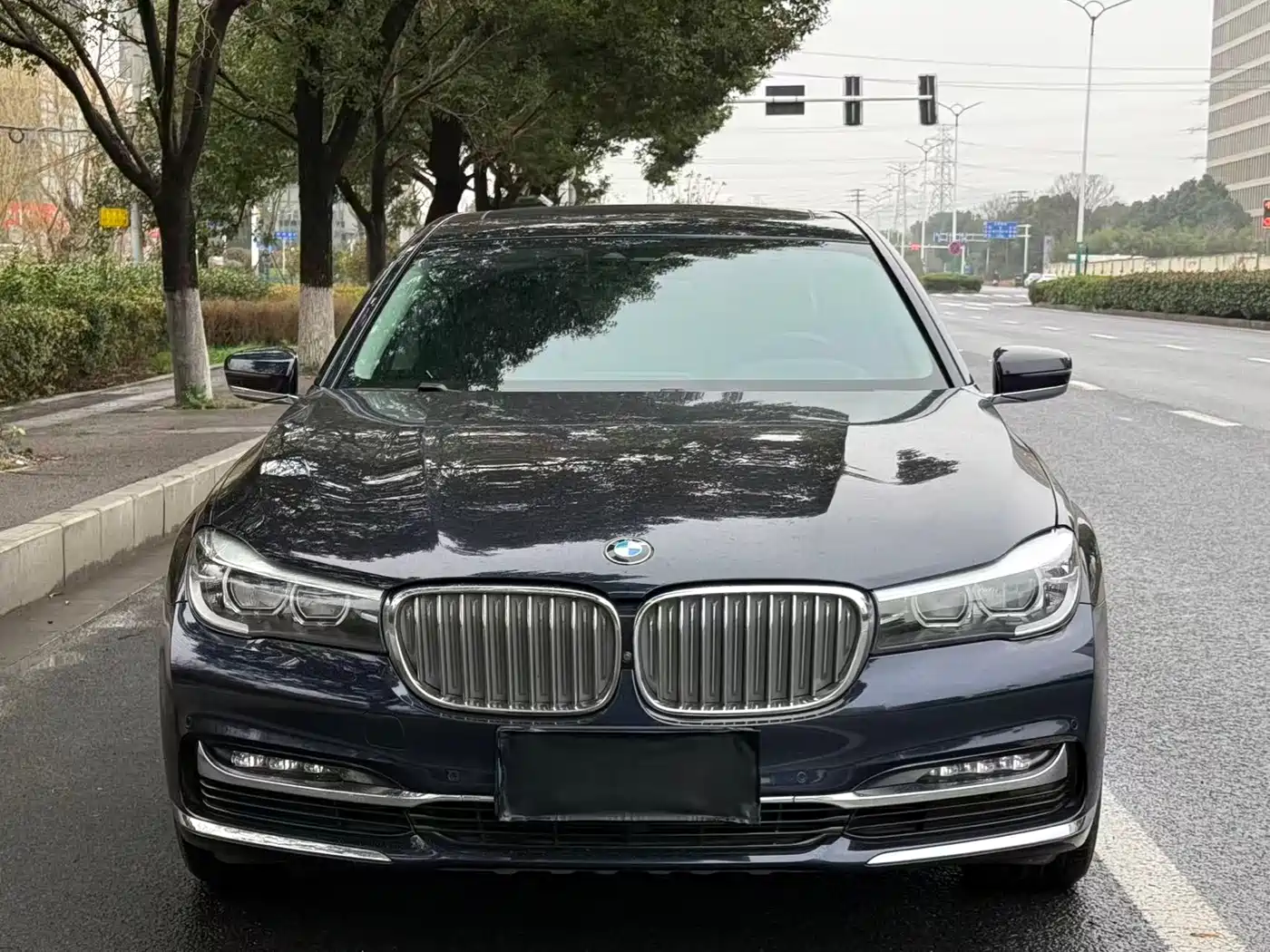 BMW 7 Series 2018 730Li Leading Type Excellence Package фото 2