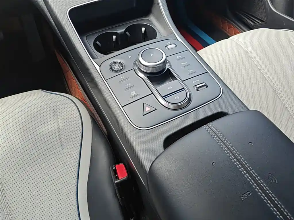BYD Destroyer 05 2024 Glory Edition DM-i 55KM Luxury фото 10