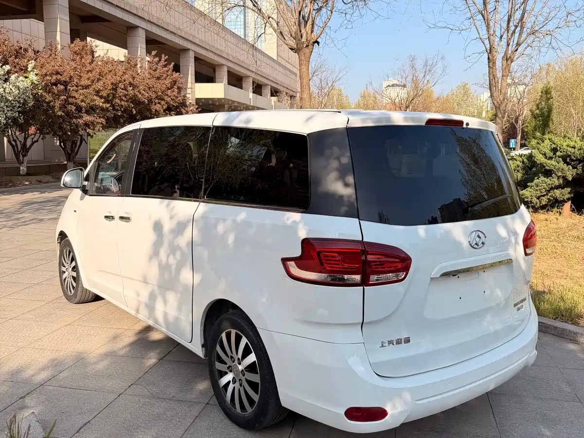 SAIC Maxus Maxus G10 2014 2.0T Automatic Luxury Executive Edition фото 4