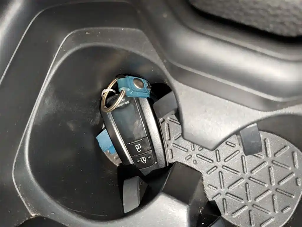 Toyota RAV4 Rongfang 2020 2.0L CVT 2WD Trend Edition фото 9
