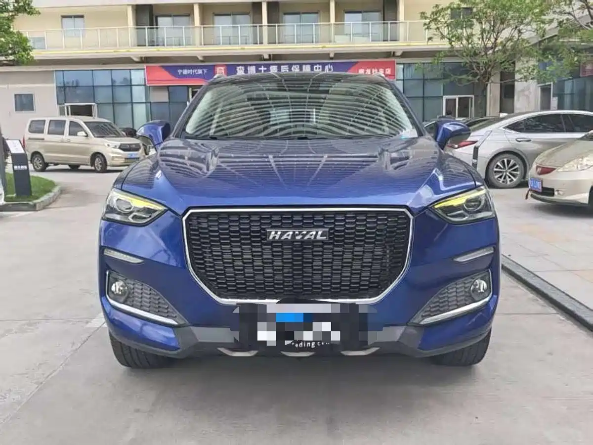 Haval F5 2019 National Trend Edition 1.5T iTrend China VI фото 2