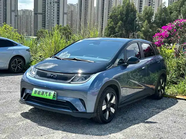 BYD Dolphin 2024