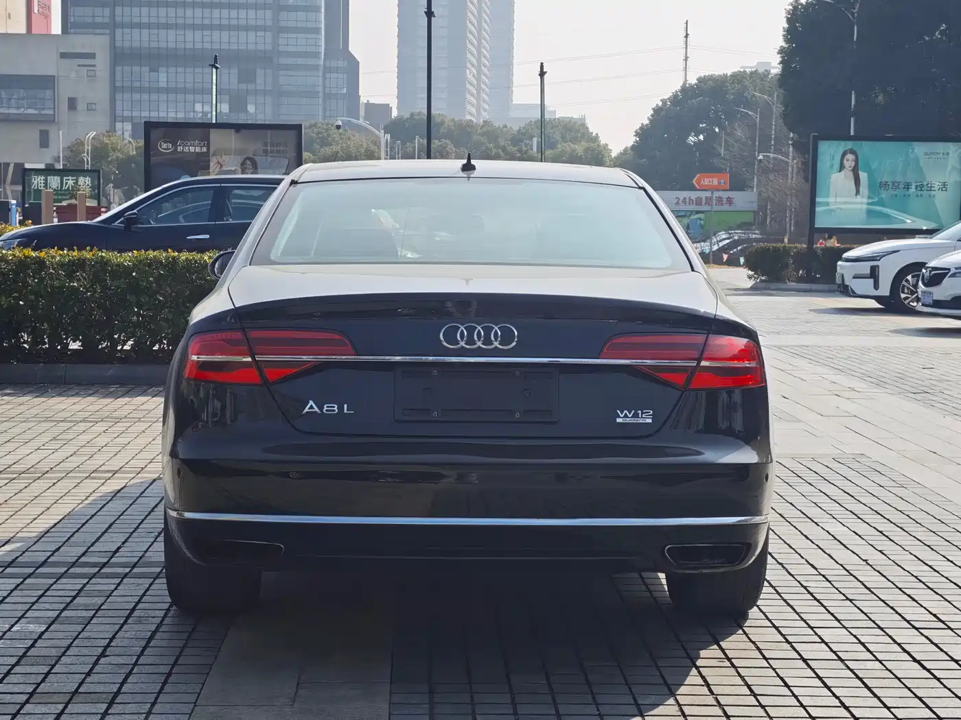 Audi A8 2014 A8L 6.3 FSI W12 quattro Flagship фото 5