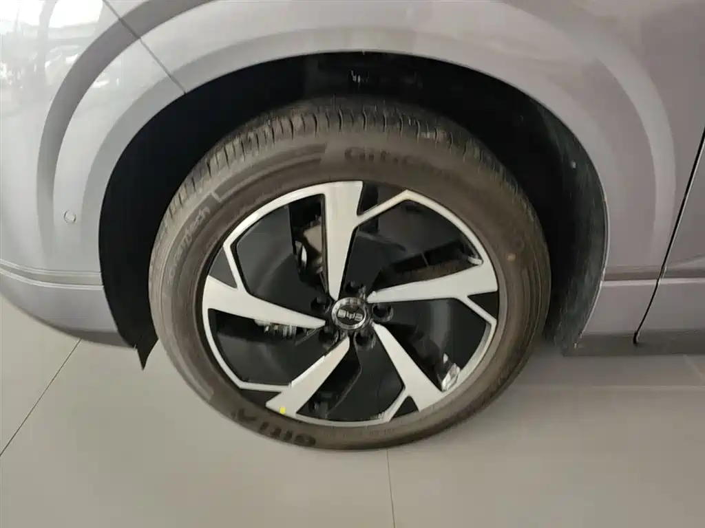 BYD Sealion 06 New Energy 2025 DM-i 170 Pilot Pro Edition фото 22