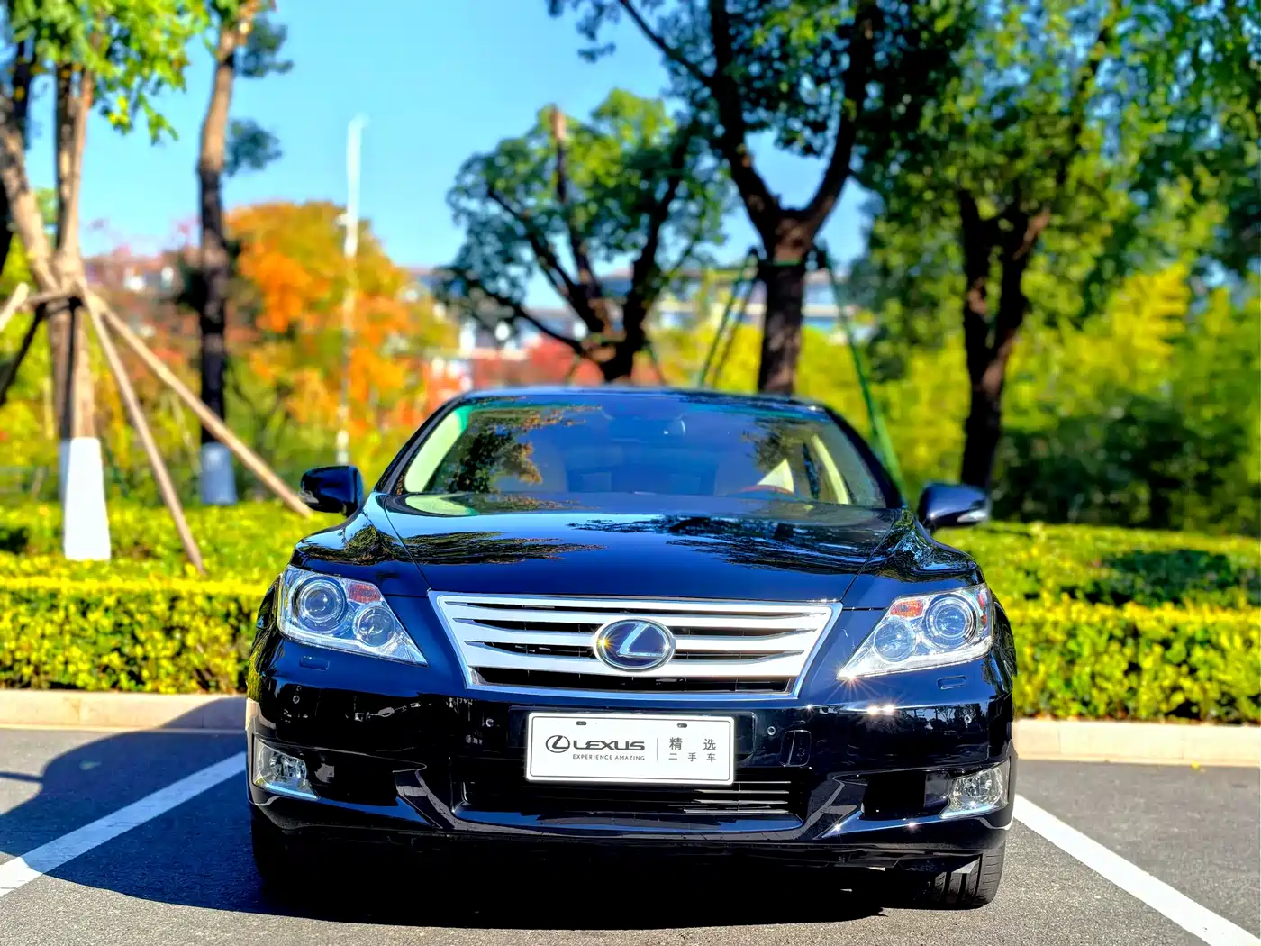 Lexus LS 2010 600hL фото 2