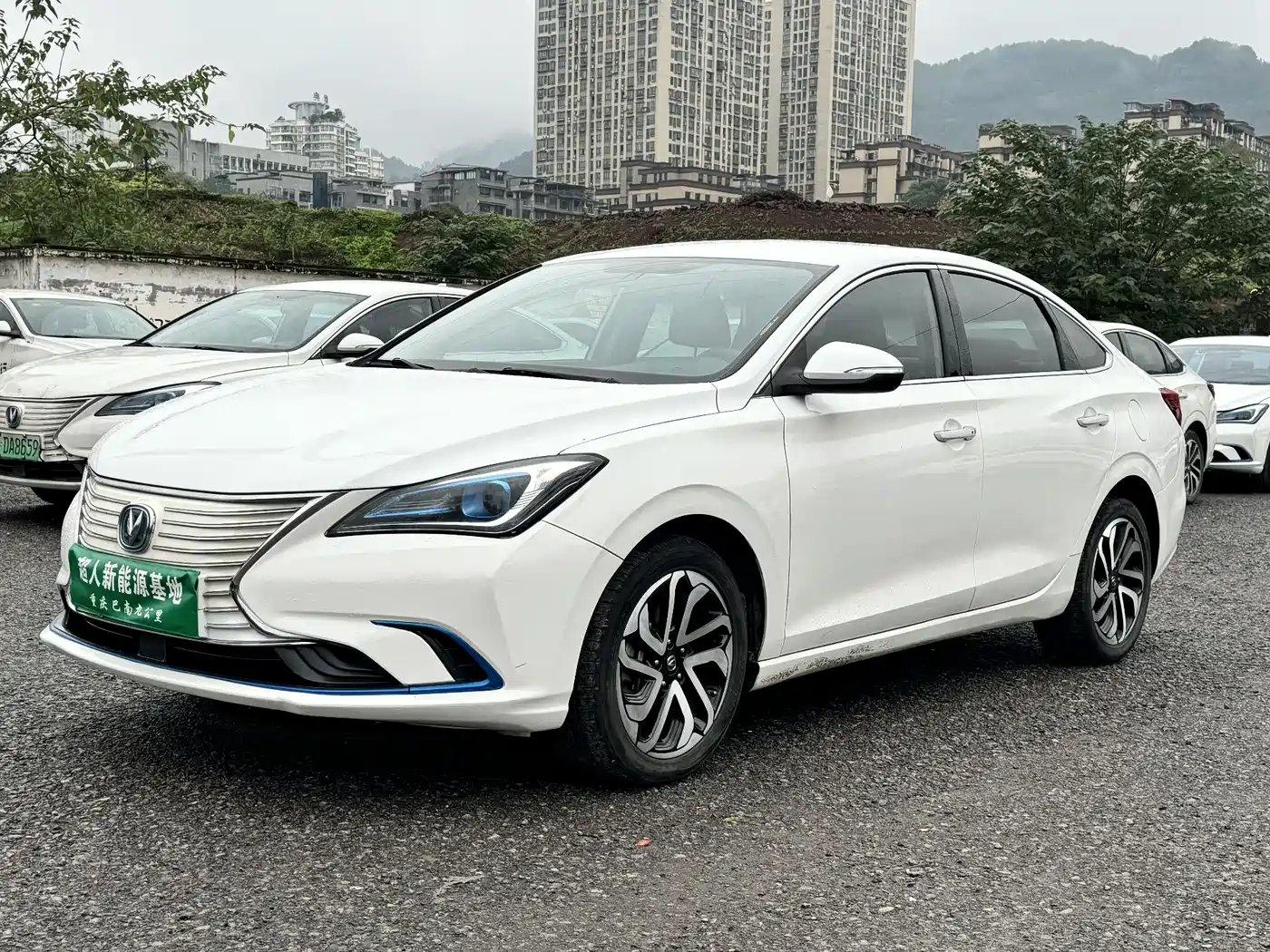 Changan Eado New Energy 2019 2019 EV460 Smart Enjoy Edition