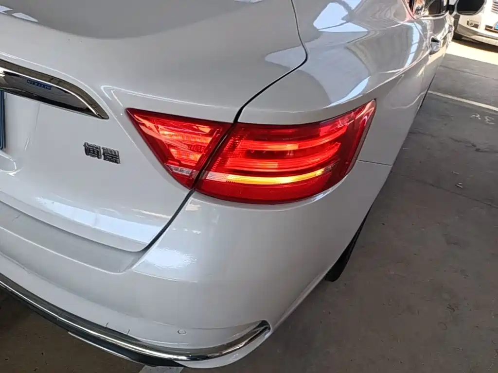Фото 8 - Geely Borui