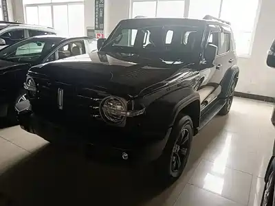 Tank 300