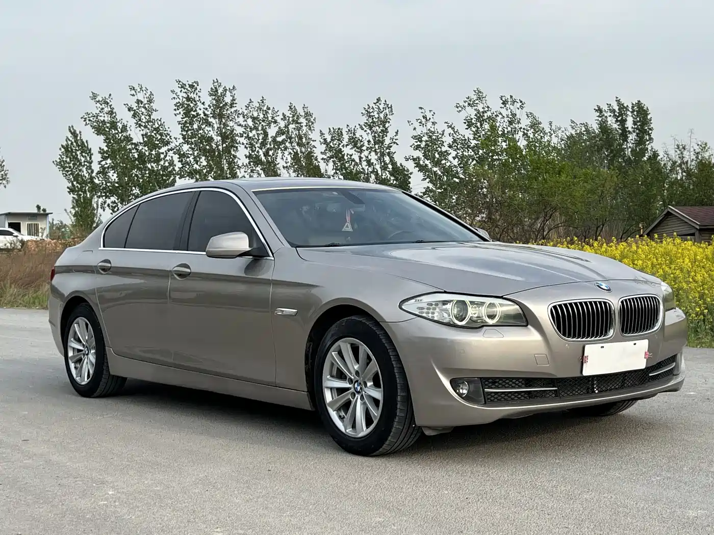 BMW 5 Series 2012 523Li Luxury фото 3