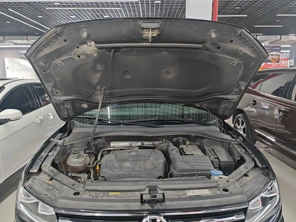 Volkswagen Tiguan L 2019 330TSI Automatic 2WD Panorama Comfort Edition China VI фото 20