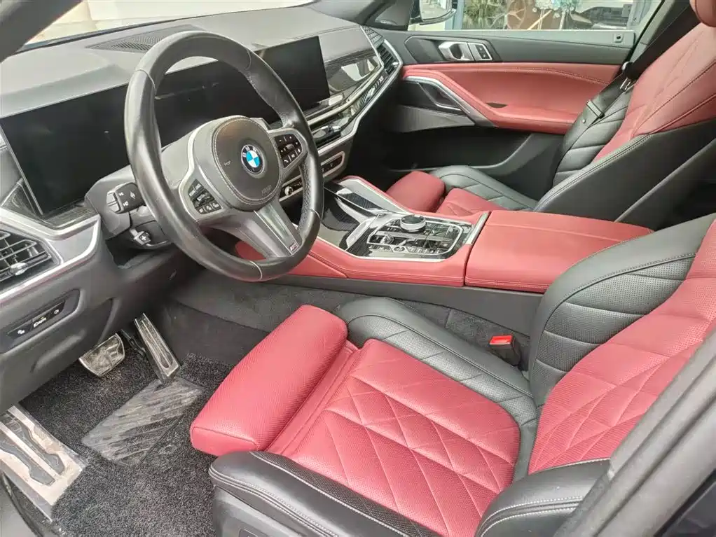 صورة 8 - BMW X6