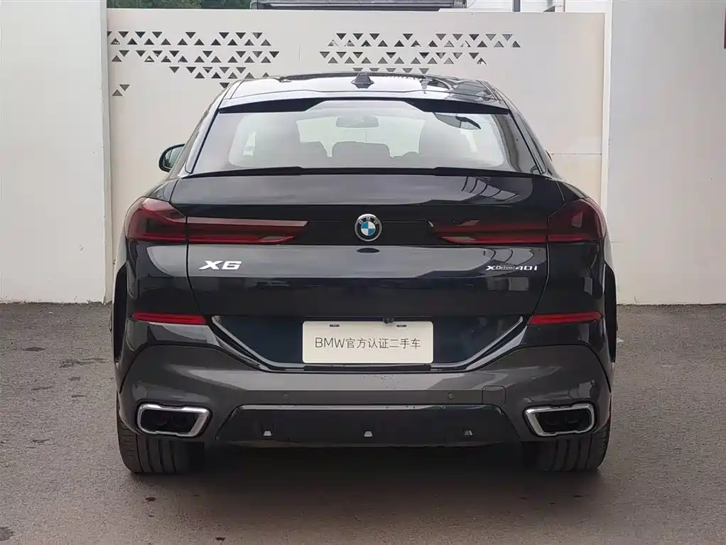 صورة 5 - BMW X6