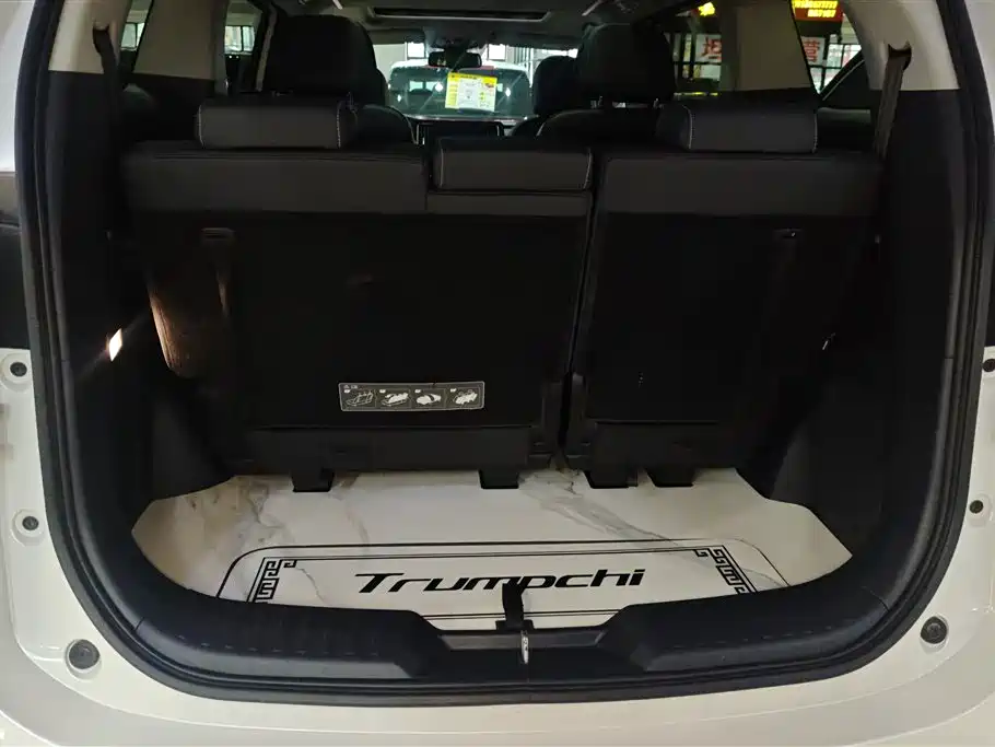 GAC Trumpchi Trumpchi M8 2021 Leading Show Series 390T Ultimate Edition фото 4