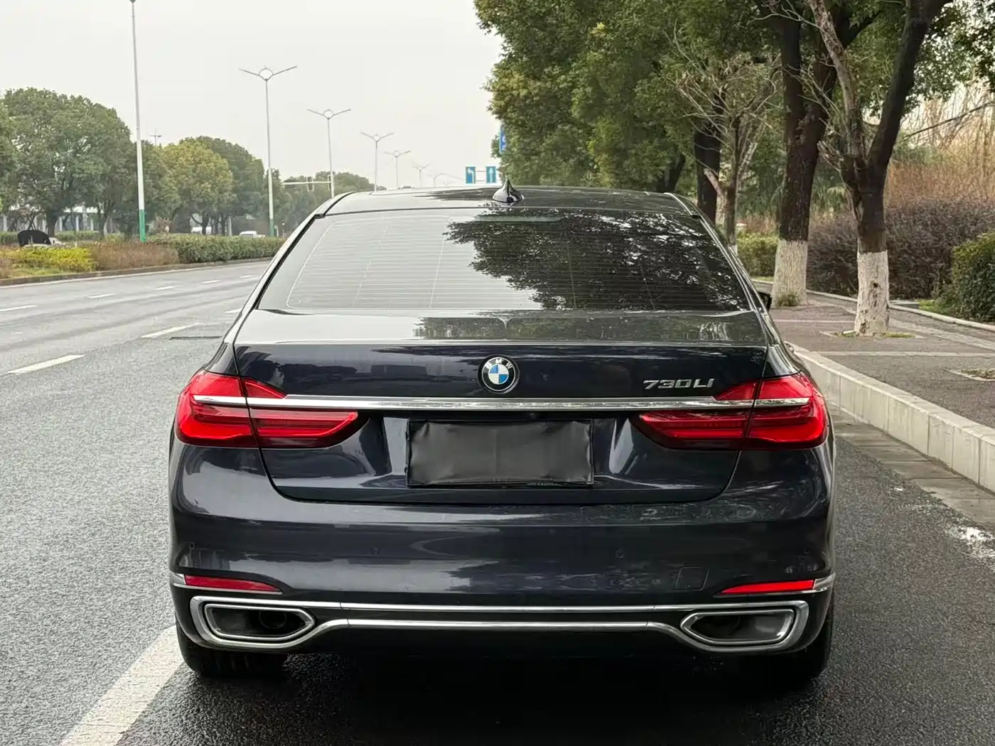 BMW 7 Series 2018 730Li Leading Type Excellence Package фото 5