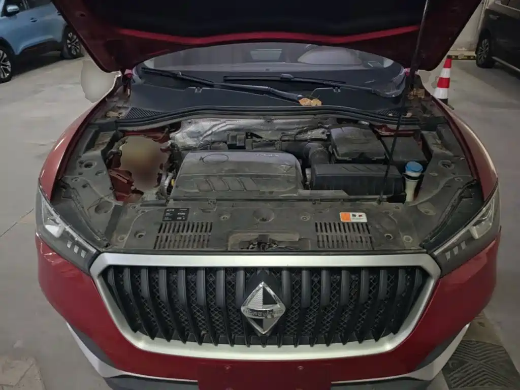 Borgward BX5 2017 2017 25TGDI Automatic 2WD Fashion Plus