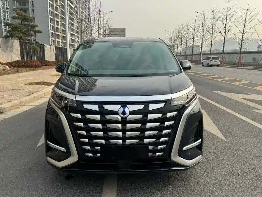 Denza D9 2022 DM-i 970 All-Wheel Drive Honor Edition фото 2