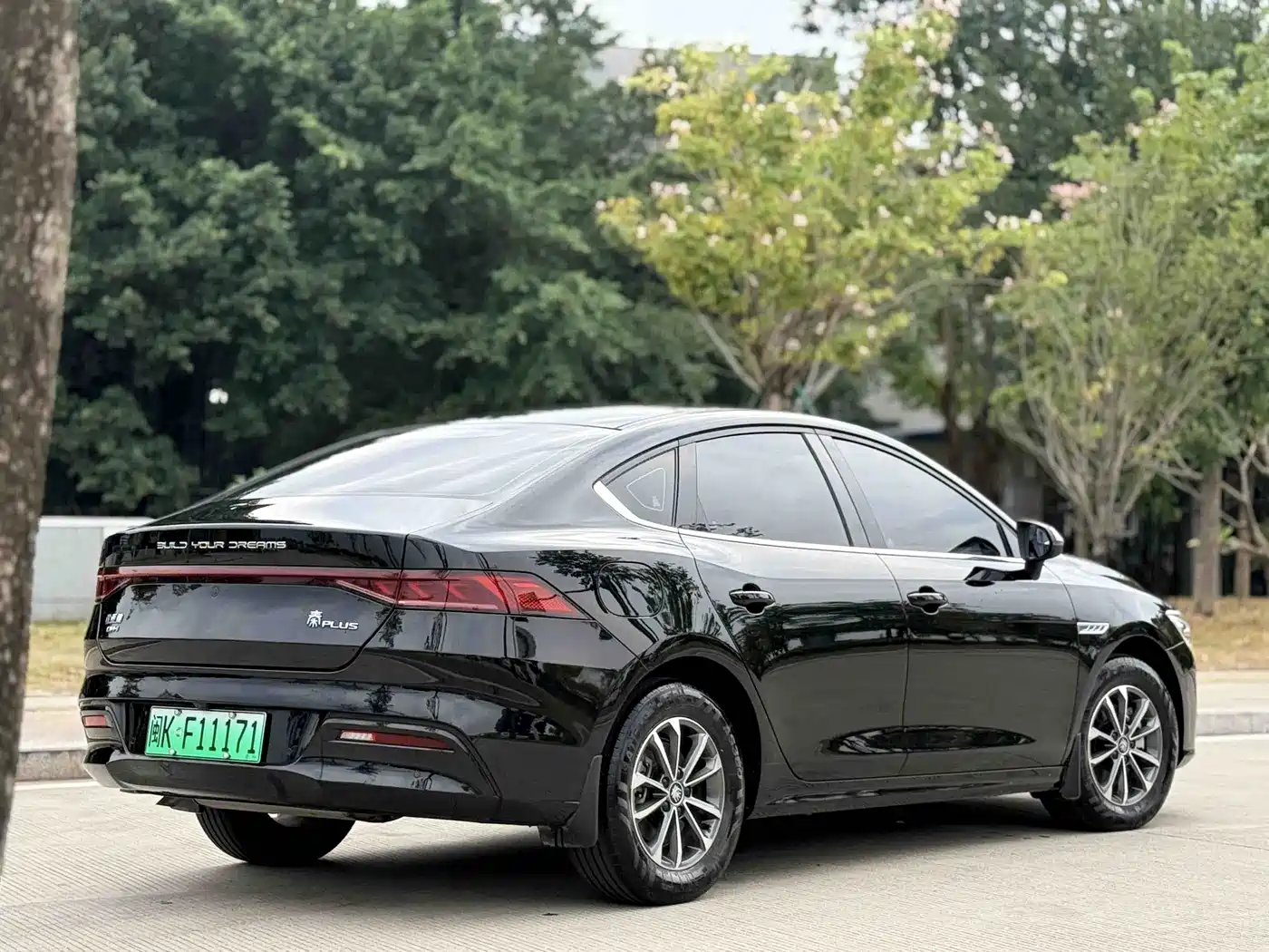 BYD Qin PLUS 2023 Champion Edition DM-i 55KM Leading фото 4