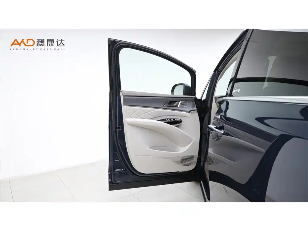 Denza D9 2022 DM-i 970 All-Wheel Drive Honor Edition фото 11