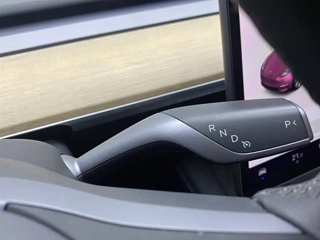  Tesla Model Y 2021 Standard Range Rear-Wheel Drive 20
