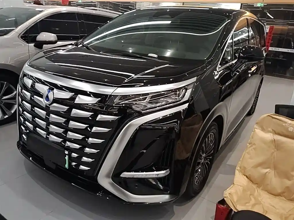 Denza D9 2024 DM-i 980 AWD Prestige фото 2