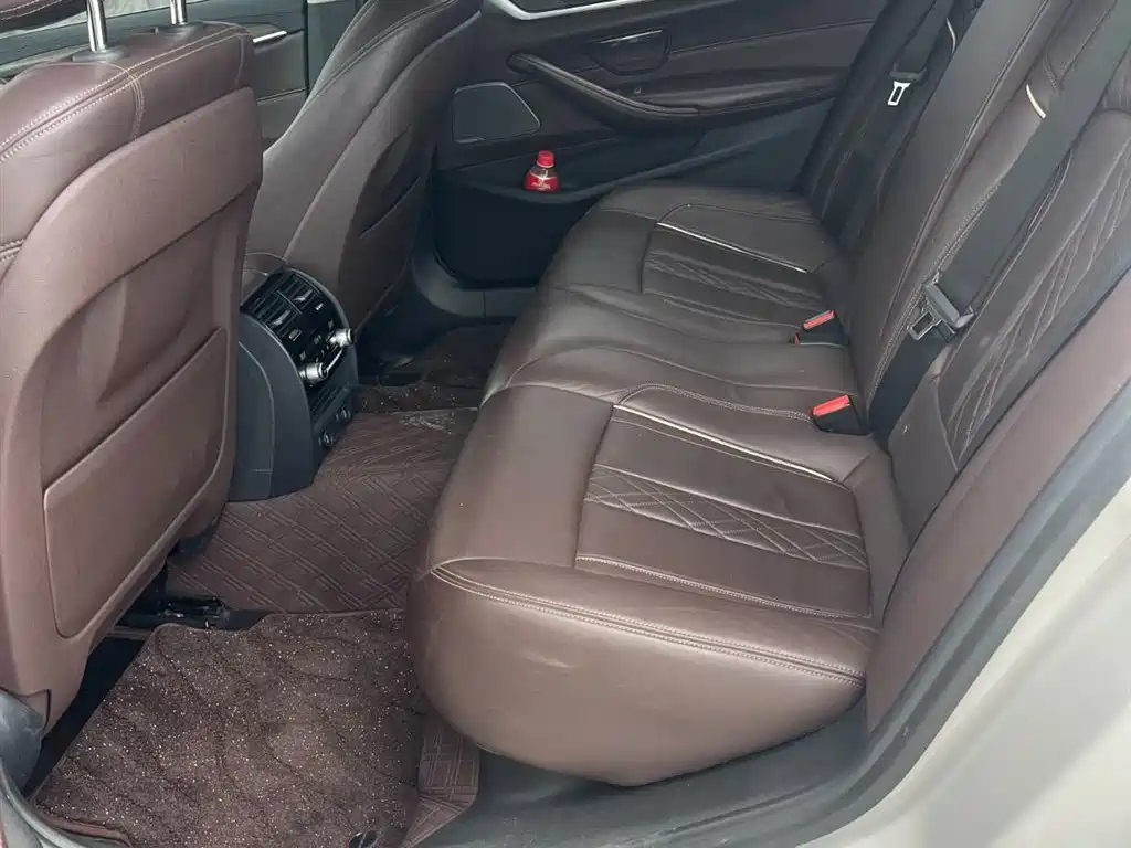 BMW 5 Series 2018 Facelift 530Li Exclusive Luxury Package фото 5